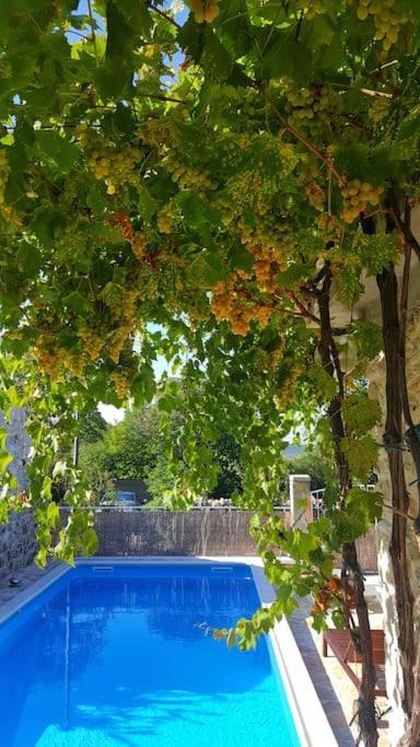 Stone House Kula Milica Villa Mala Cista Dış mekan fotoğraf